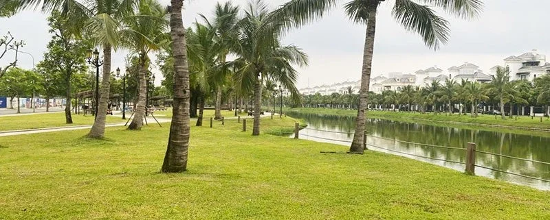 Tổng quan vẻ đẹp sinh thái của Hồ Đảo Cọ Vinhomes Ocean Park