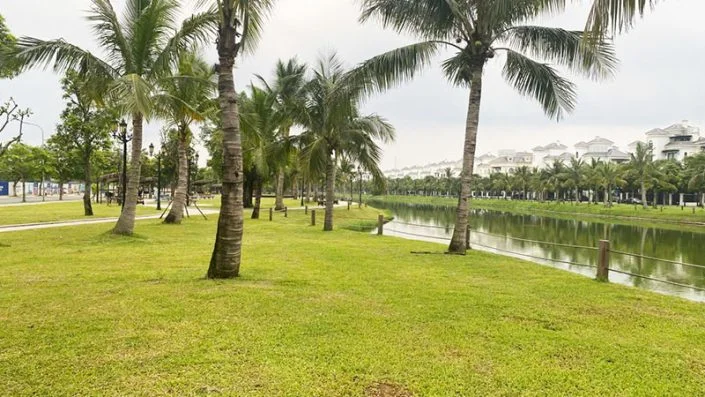 Hình ảnh Hồ Đảo Cọ nằm ở đâu?