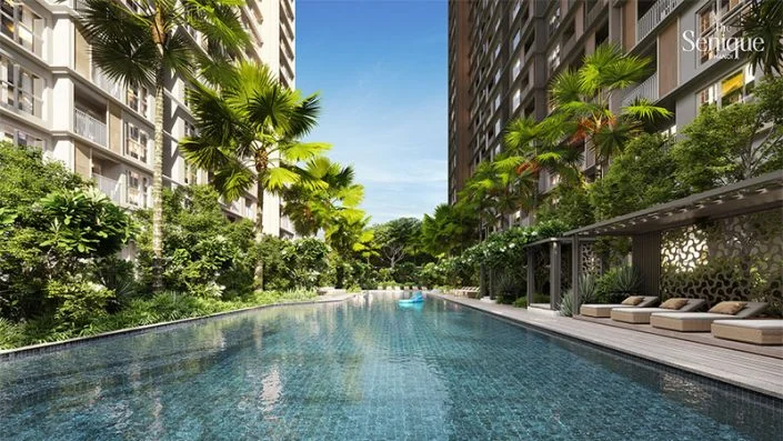 Hình ảnh bài viết