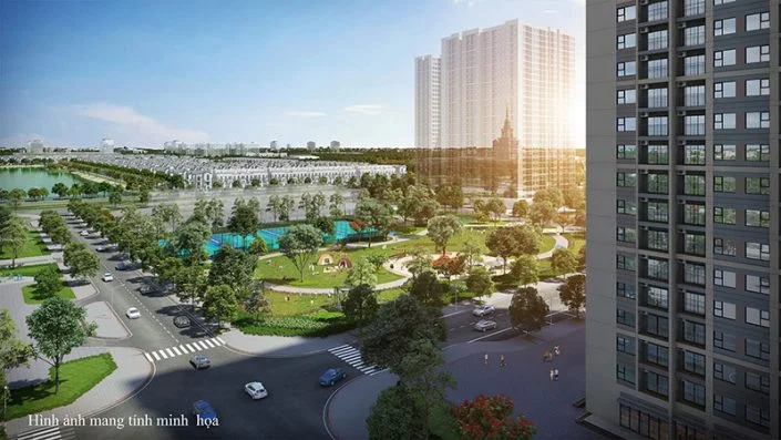 Hình ảnh bài viết