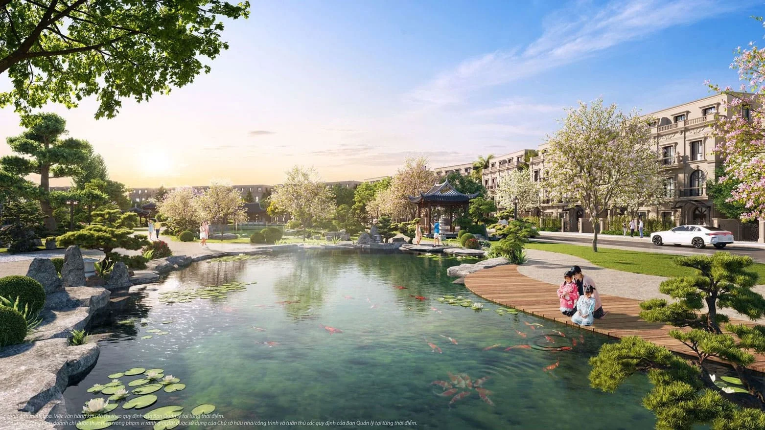 Hình ảnh bài viết