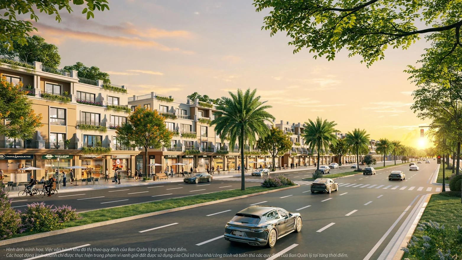 Hình ảnh bài viết