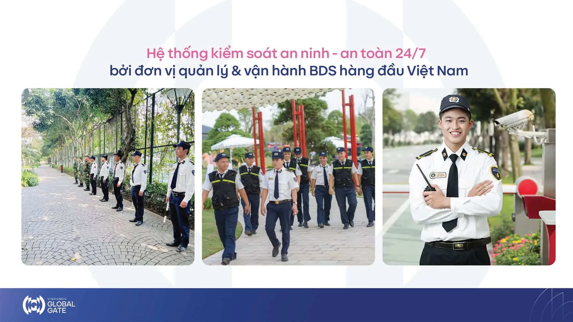 Hình ảnh bài viết